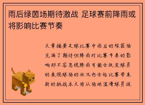 雨后绿茵场期待激战 足球赛前降雨或将影响比赛节奏